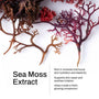 Load image into Gallery viewer, Manuka Honey Sea Moss Post-Shave Oil
